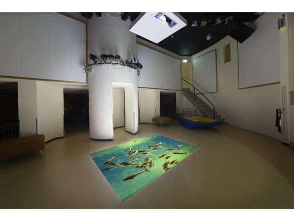 Living Surface Living Surface